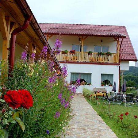 Pensiunea Poezii Alese Valea Drăganului Exteriér fotografie