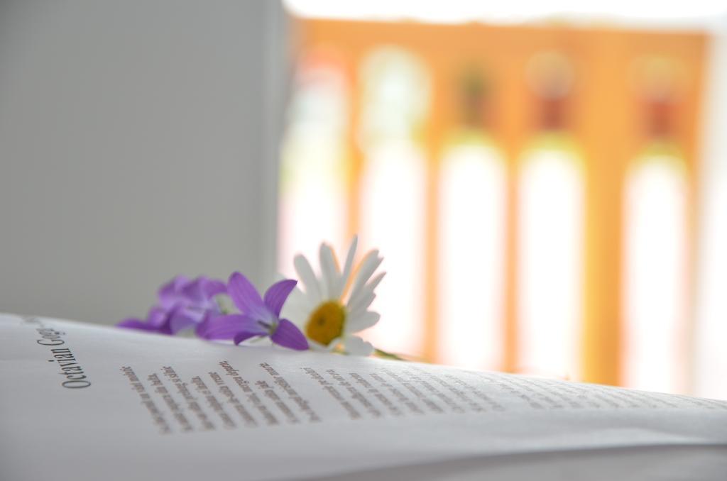 Pensiunea Poezii Alese Valea Drăganului Pokoj fotografie