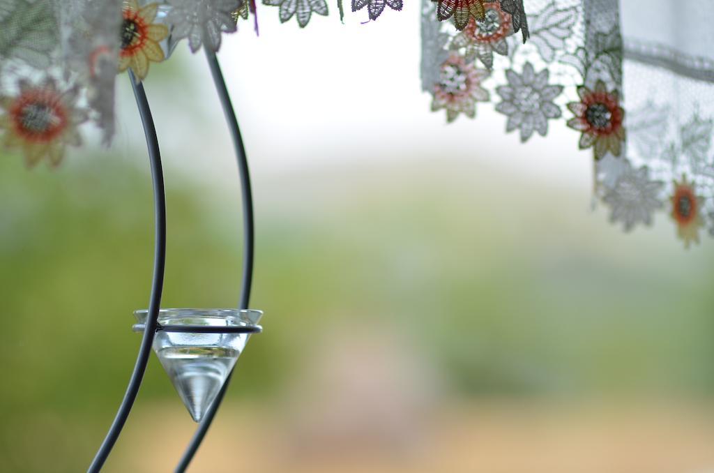 Pensiunea Poezii Alese Valea Drăganului Pokoj fotografie