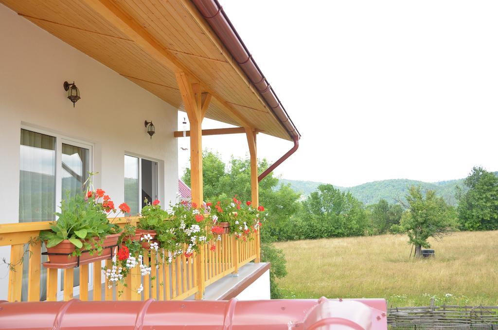 Pensiunea Poezii Alese Valea Drăganului Exteriér fotografie