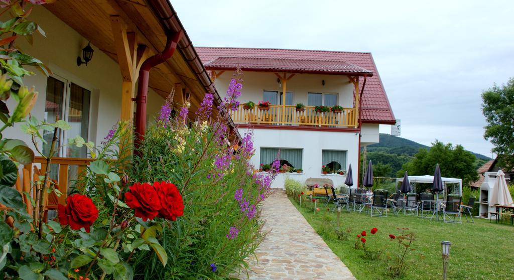 Pensiunea Poezii Alese Valea Drăganului Exteriér fotografie