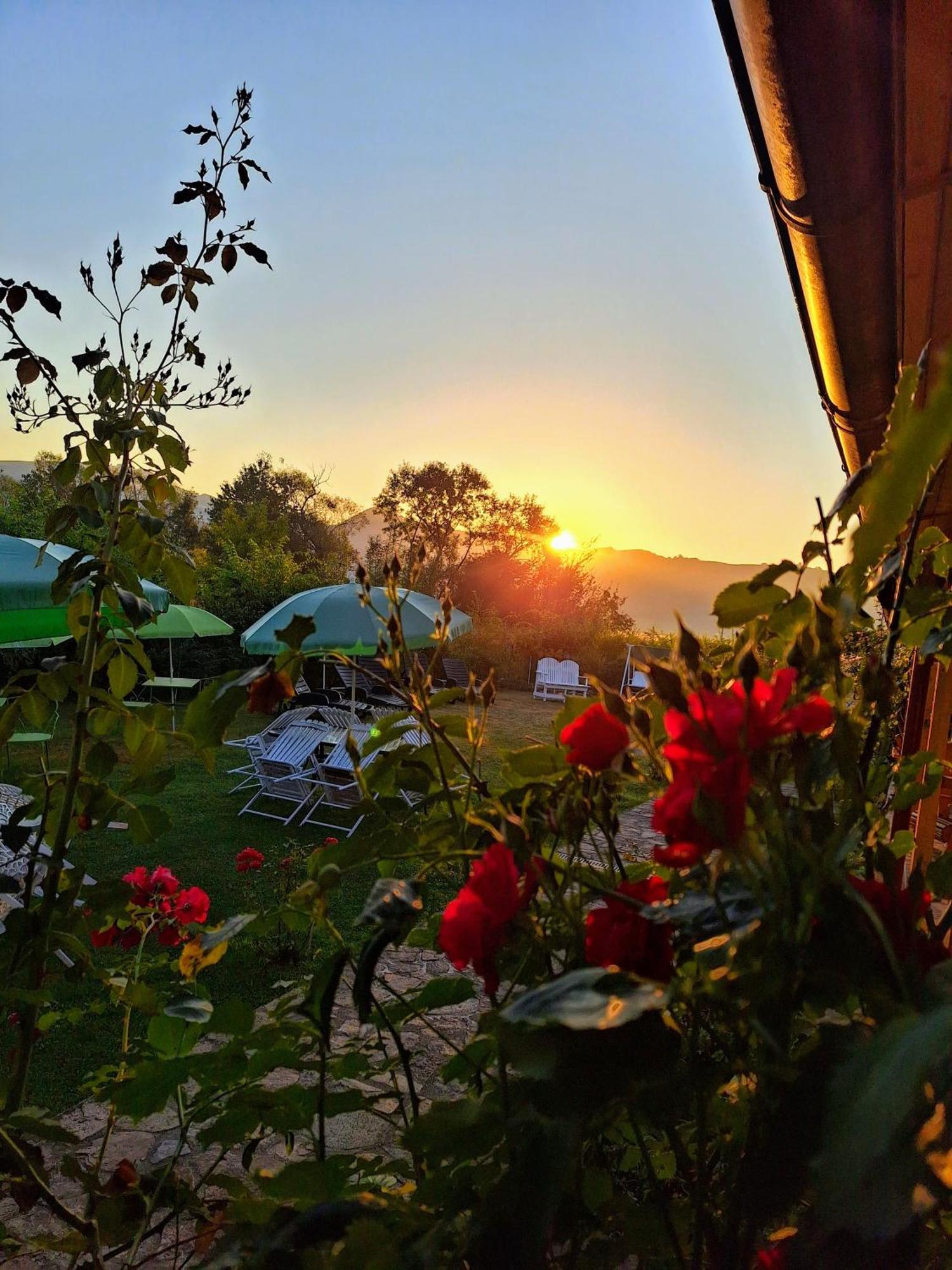 Pensiunea Poezii Alese Valea Drăganului Exteriér fotografie