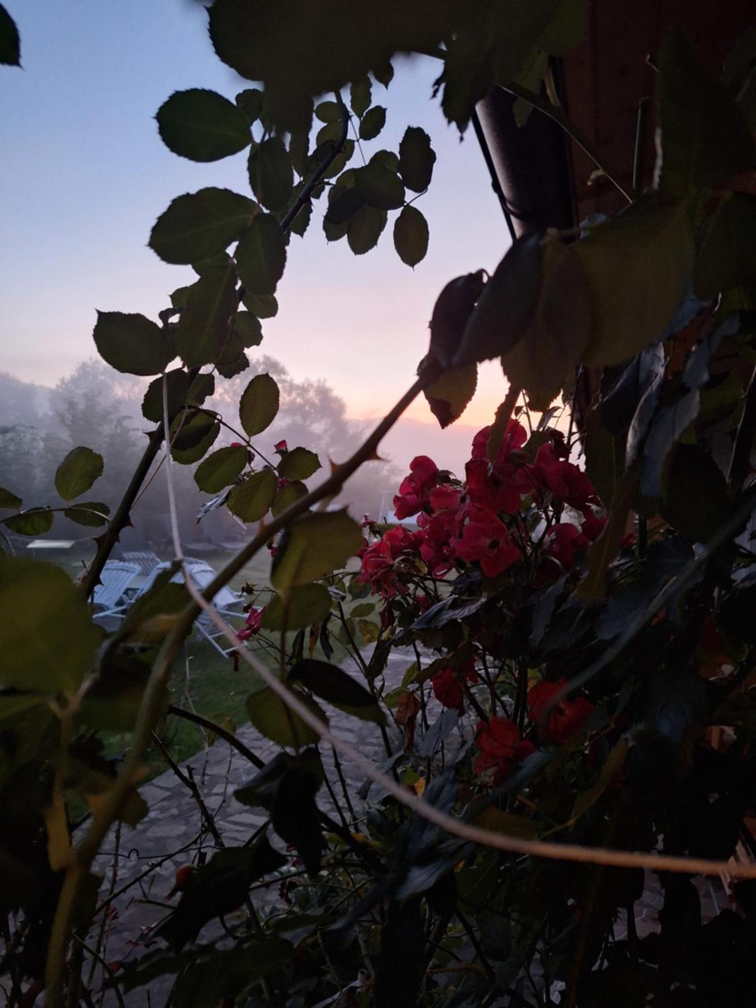 Pensiunea Poezii Alese Valea Drăganului Exteriér fotografie