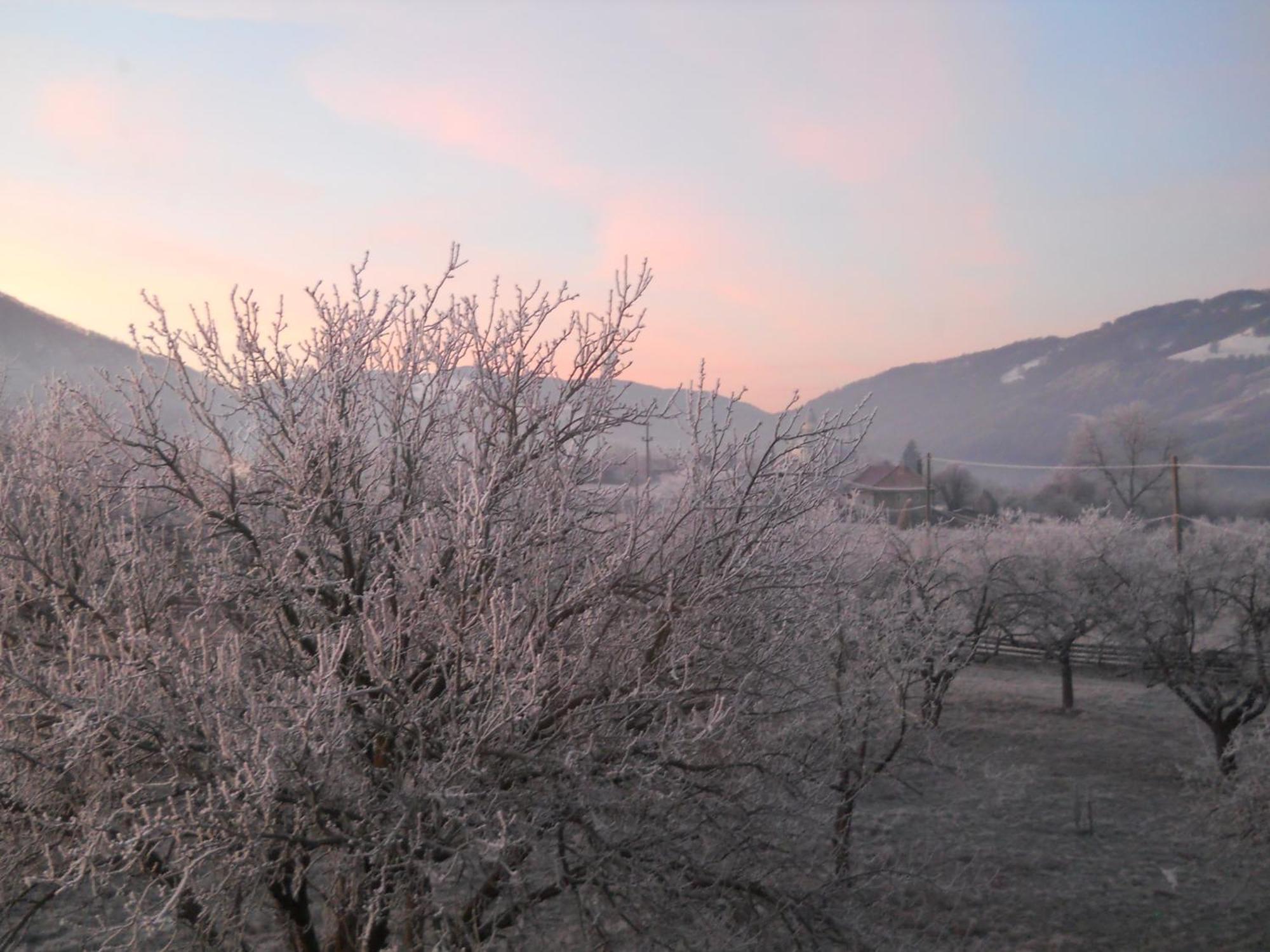 Pensiunea Poezii Alese Valea Drăganului Exteriér fotografie