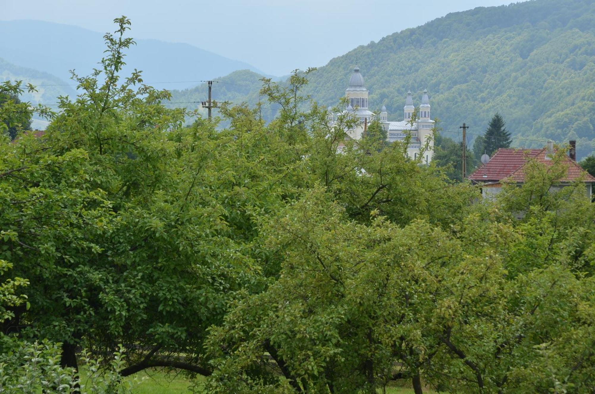 Pensiunea Poezii Alese Valea Drăganului Exteriér fotografie