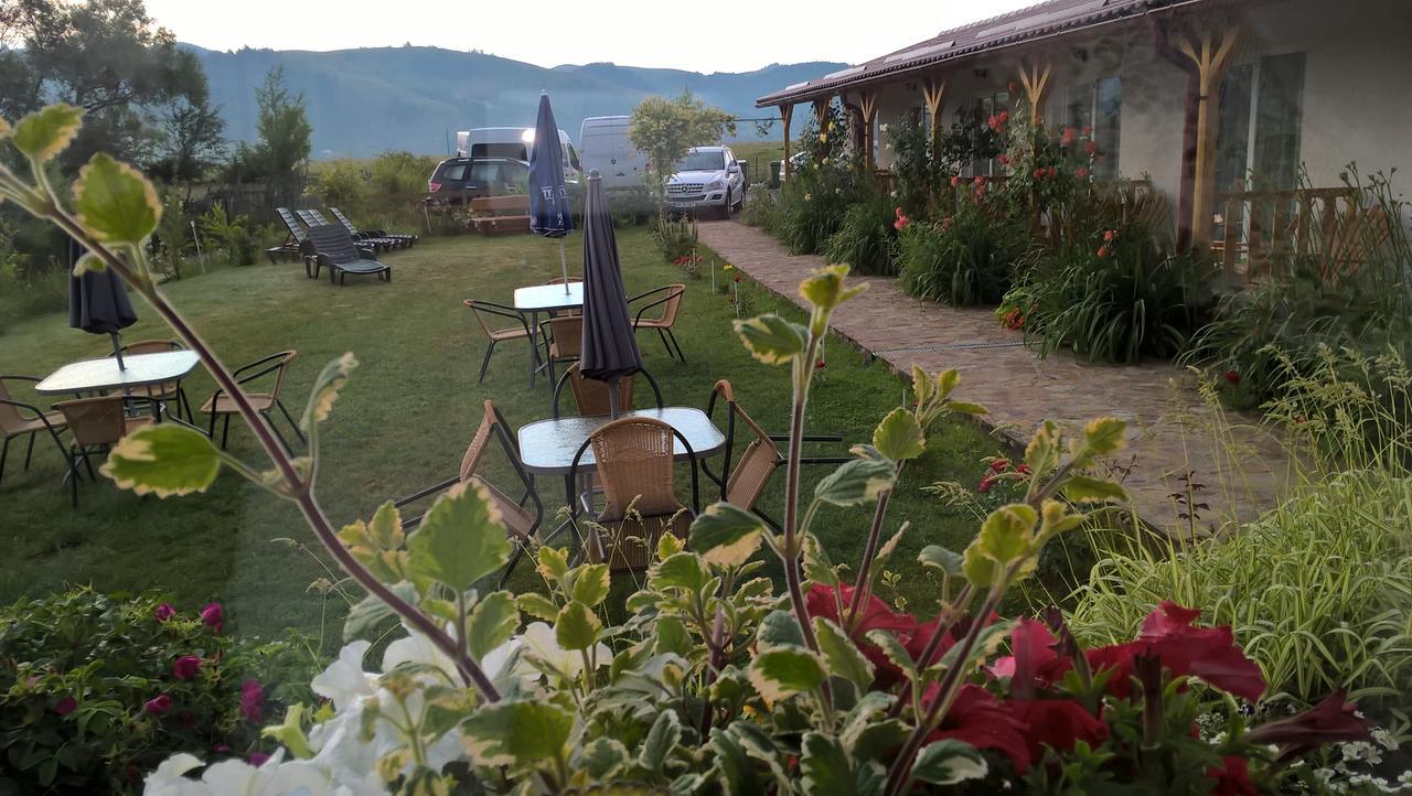 Pensiunea Poezii Alese Valea Drăganului Exteriér fotografie