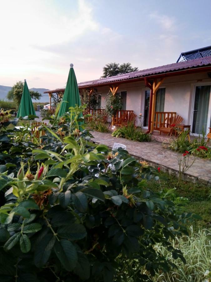 Pensiunea Poezii Alese Valea Drăganului Exteriér fotografie