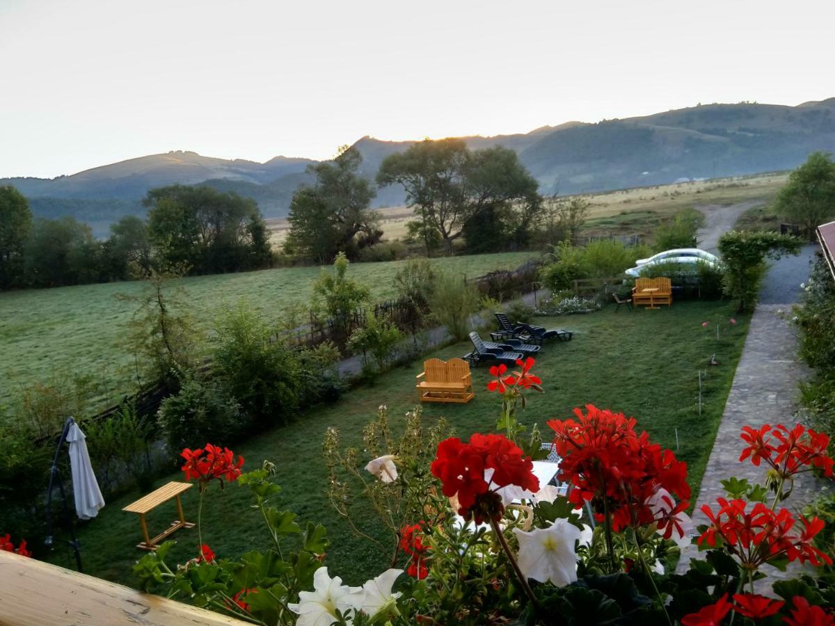 Pensiunea Poezii Alese Valea Drăganului Exteriér fotografie